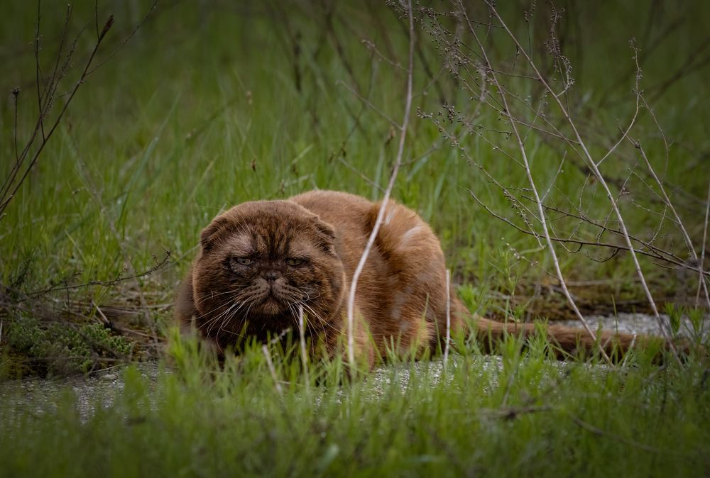 Photograph by Галина Павлова