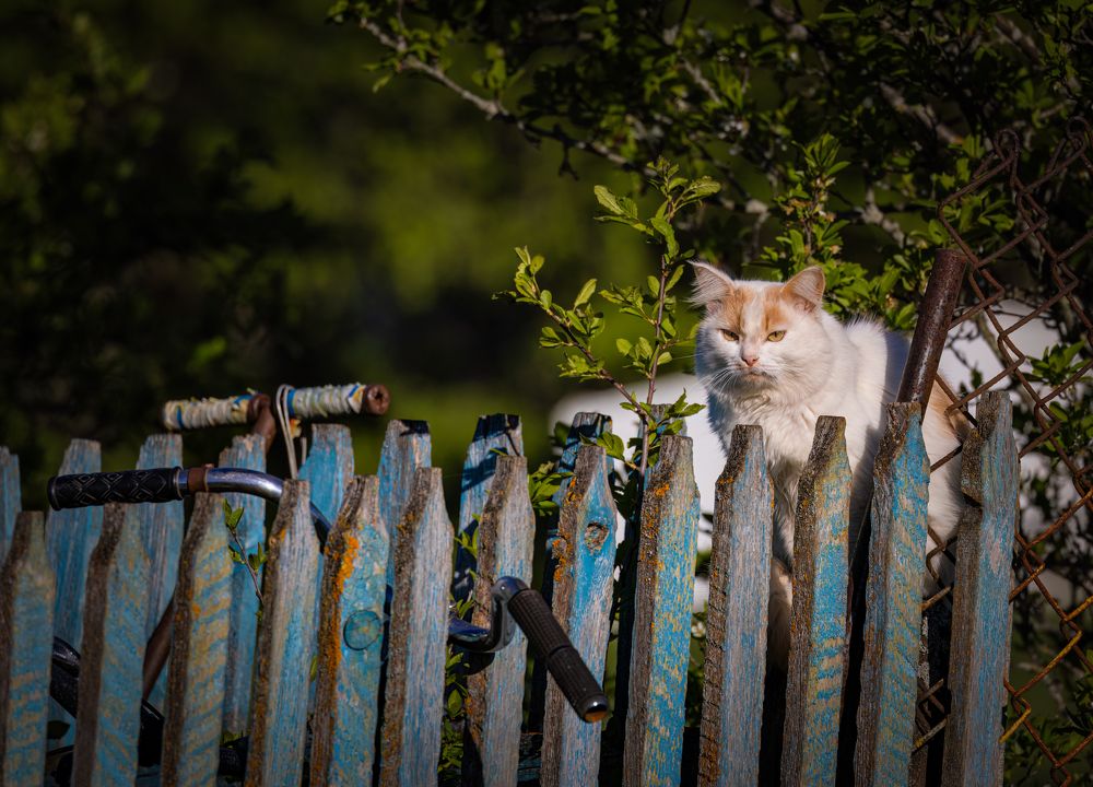 Photograph by Галина Павлова