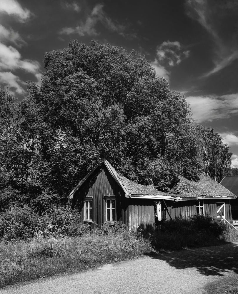 Фотография автора Alina Filimonova