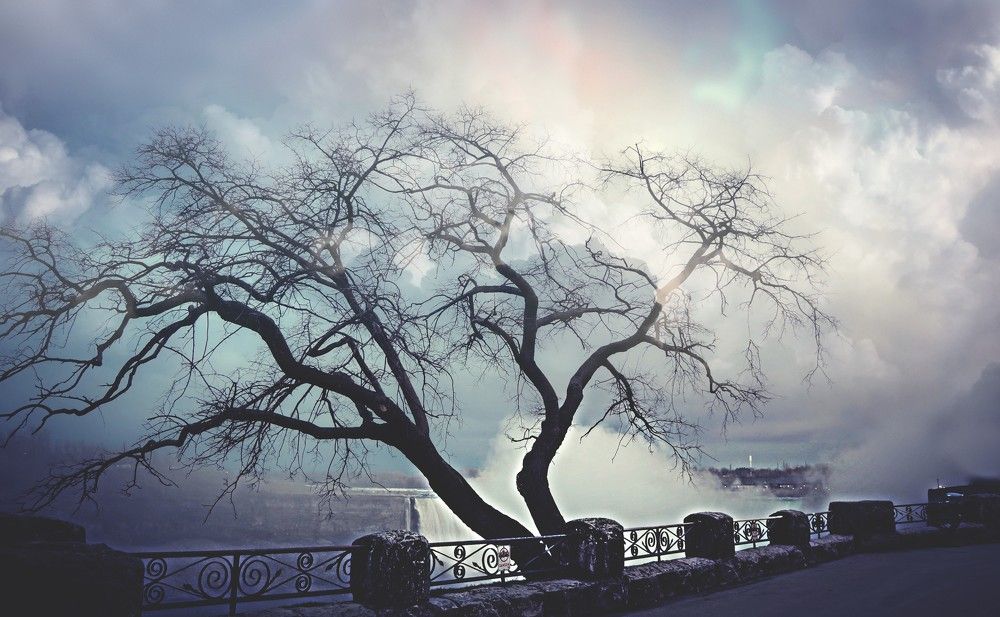 Фотография автора Katerina Georgieva