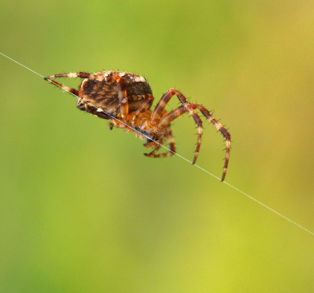 Photograph by Agita Leimane