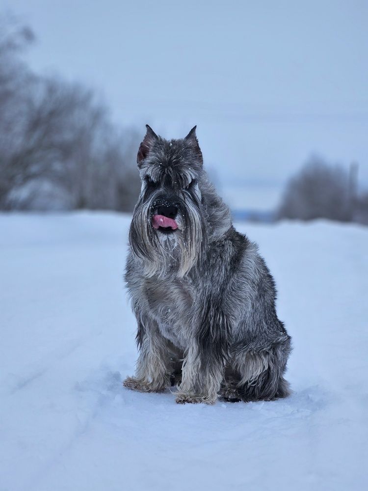 Photograph by Ирина Лучинская