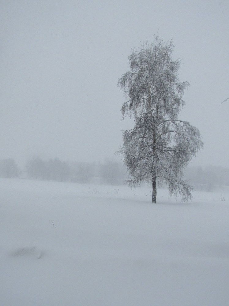 Photograph by Жанна Нечаева