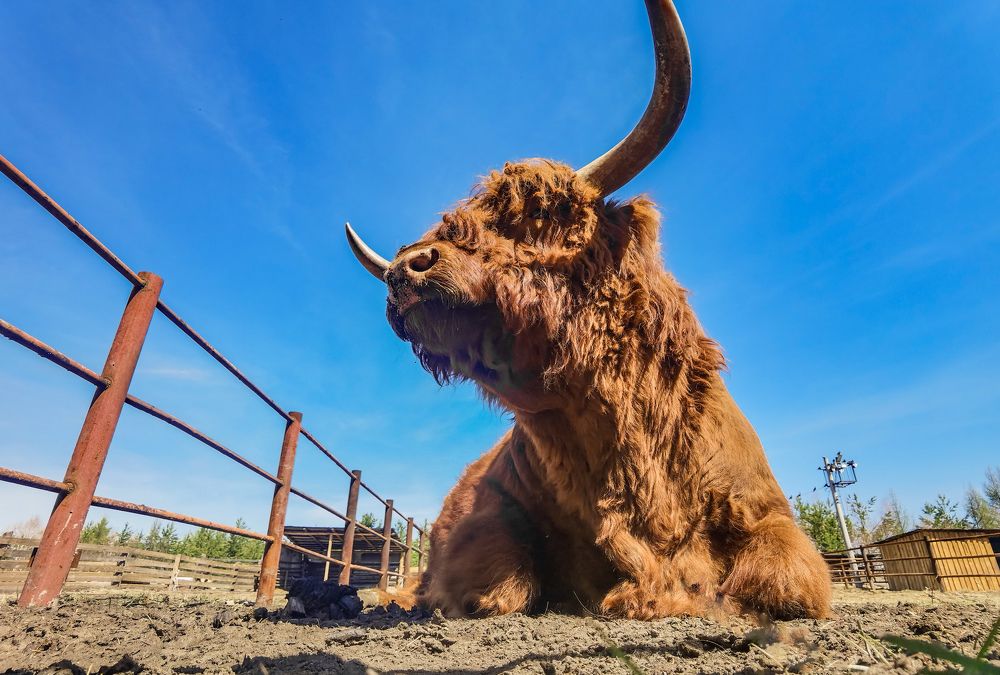 Photograph by Портных Дмитрий