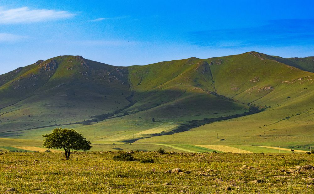 Photograph by Alex Kalpus