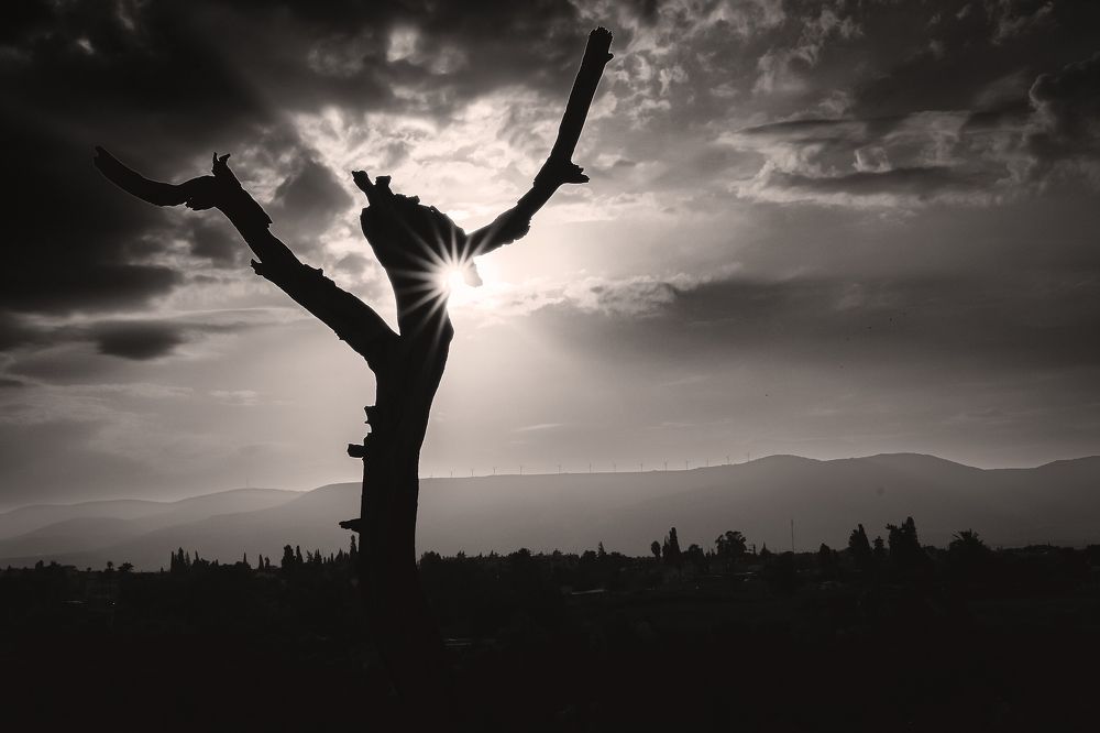 Photograph by Думнова Алёна