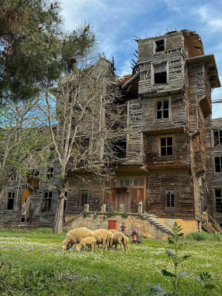 Photograph by Екатерина Мирошникова