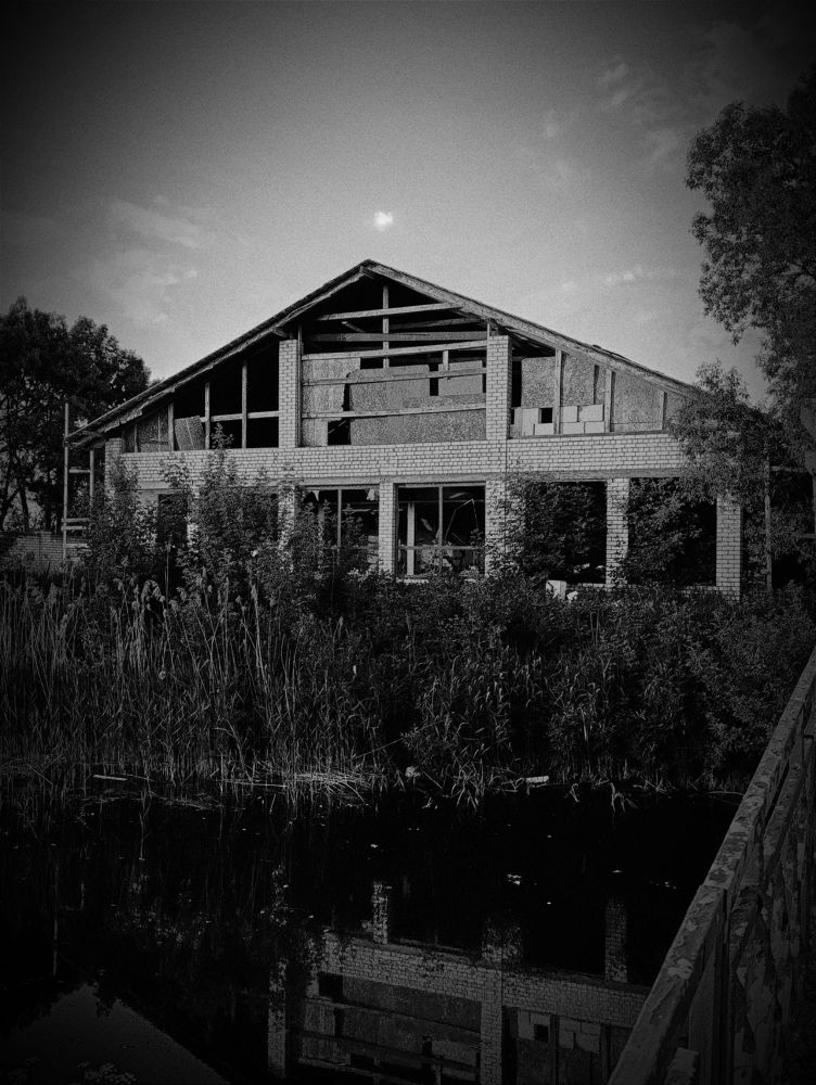 Photograph by Светлана Таркан