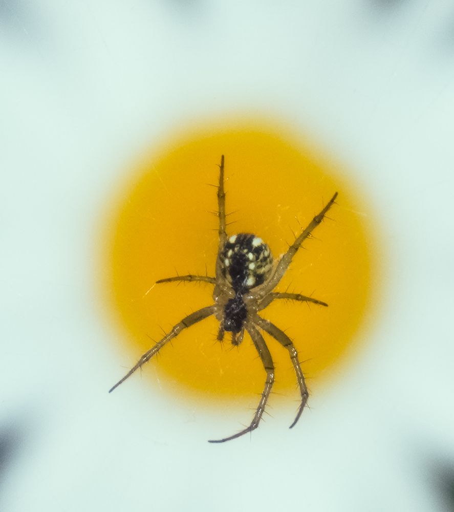 Photograph by Елена Шабельникова