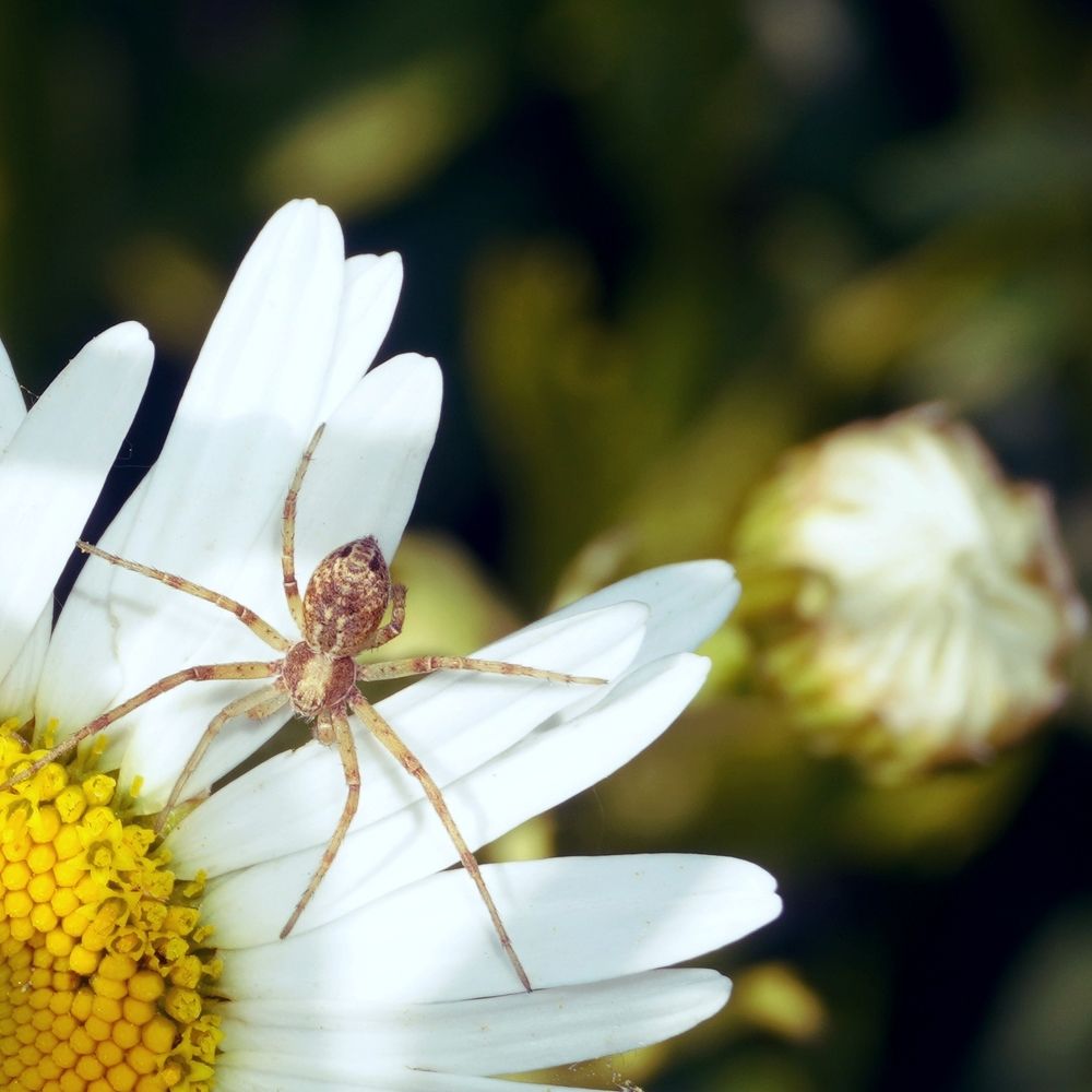 Photograph by Елена Шабельникова