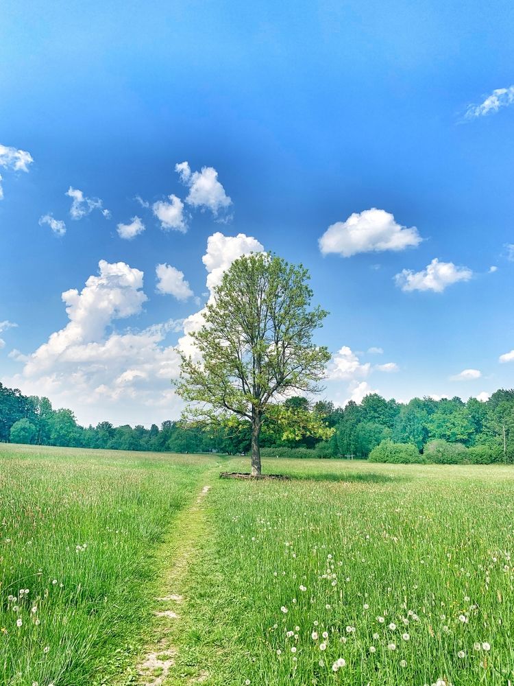 Photograph by Титаренко Людмила