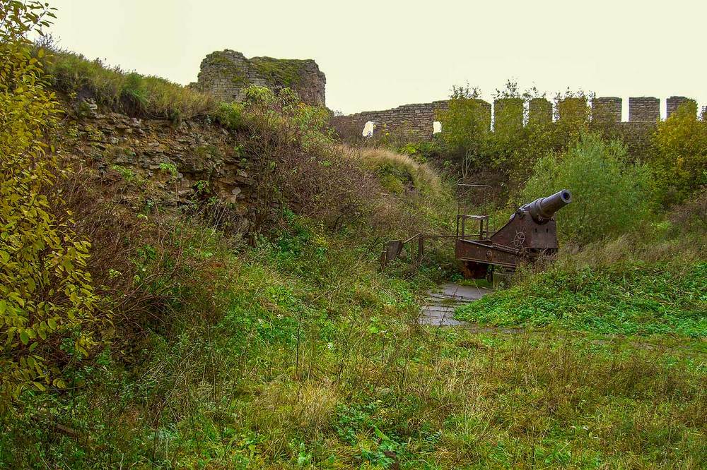 Photograph by Владимир Зубов