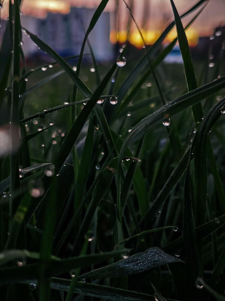 Photograph by Светлана Фоменко