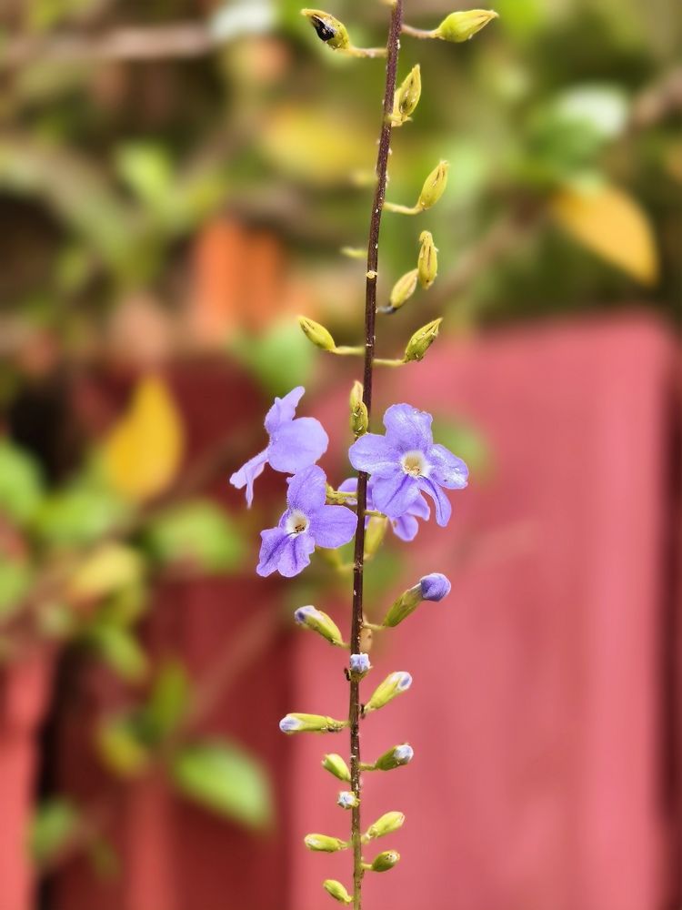 Photograph by Vikrant Khedekar