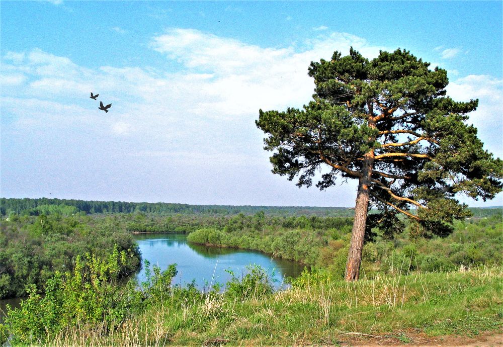 Photograph by Николай Останин