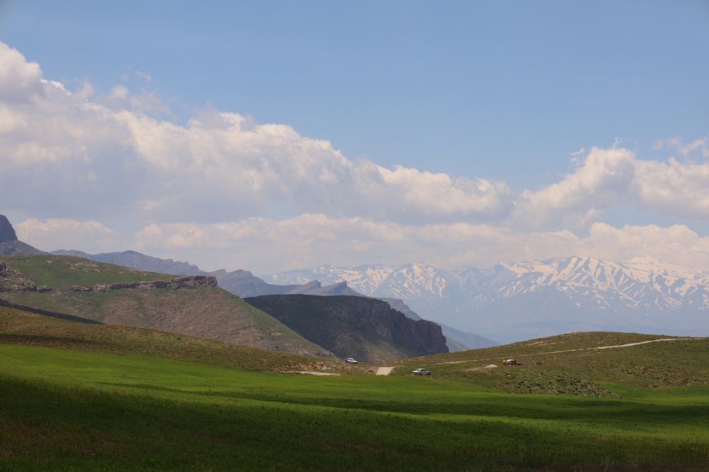 Photograph by arman davoudi