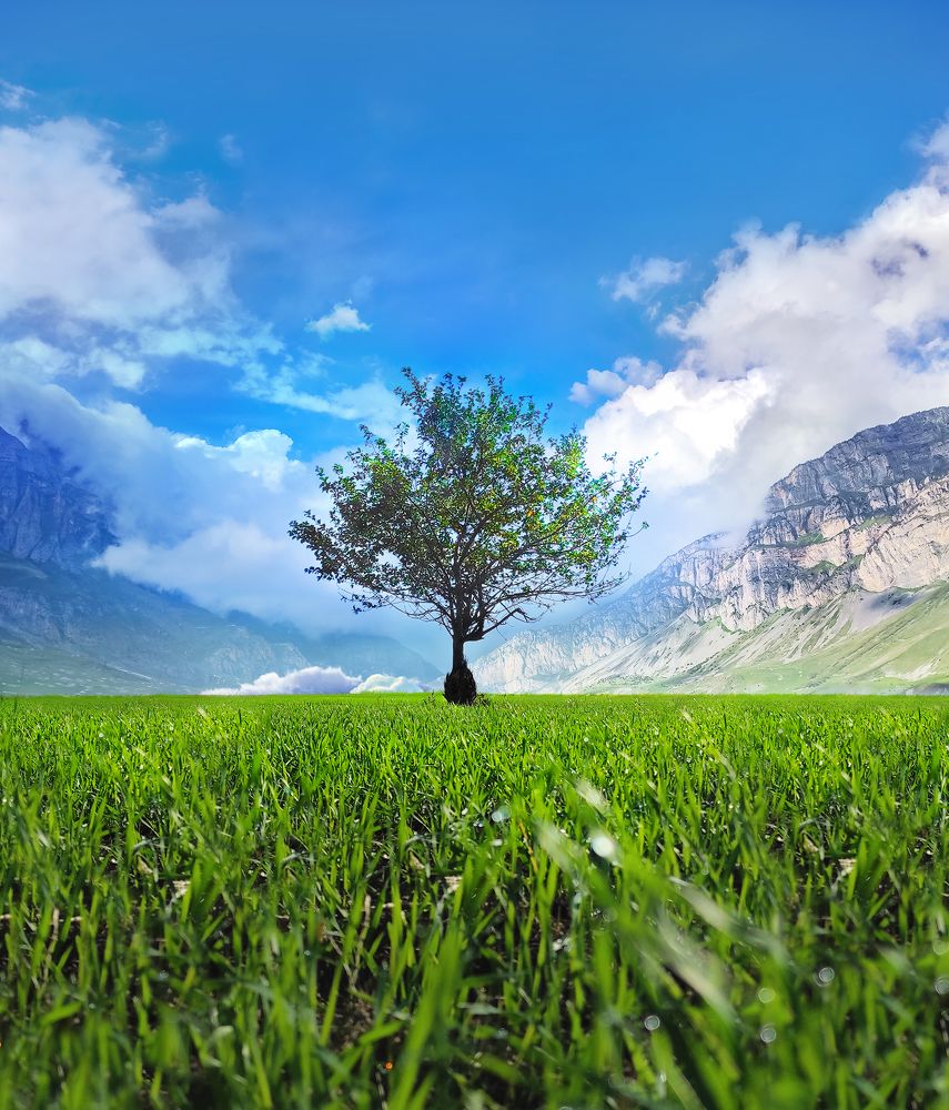 Photograph by Анастасия Семилетова