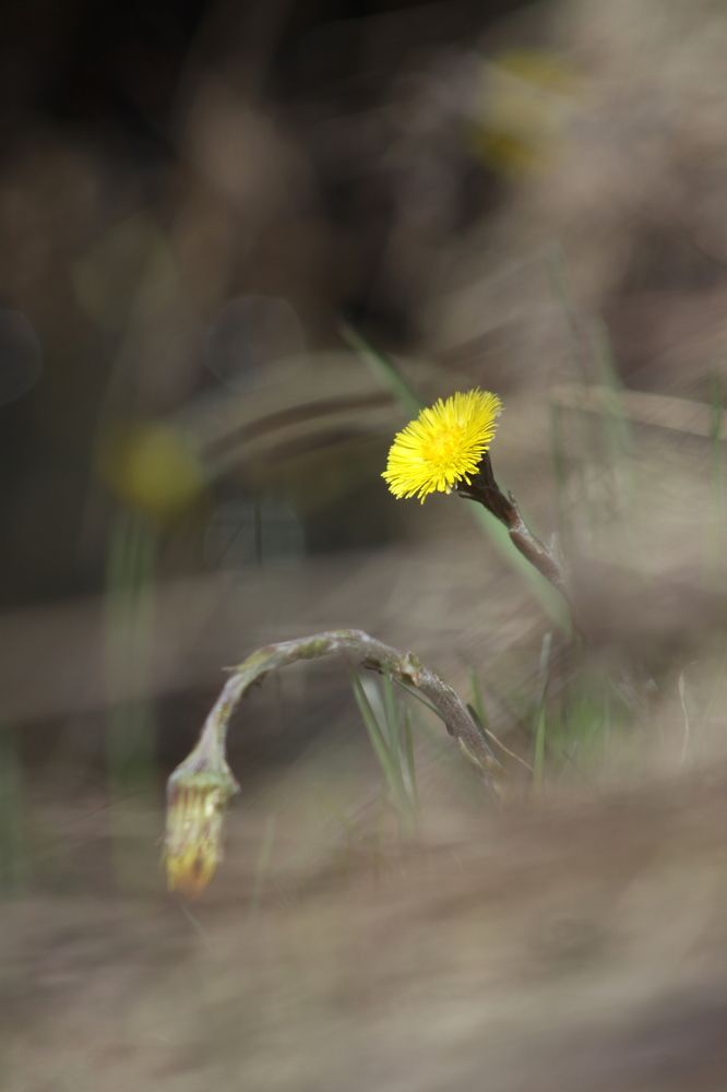 Photograph by Сергей Матус