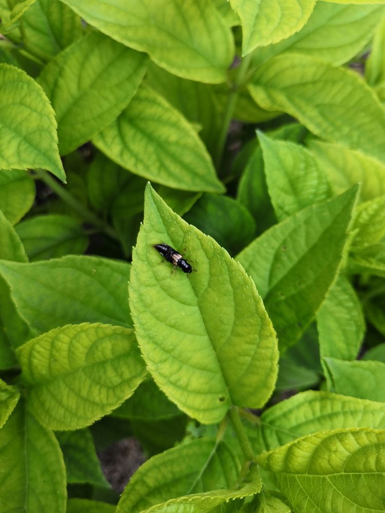 Photograph by Анна Зверева