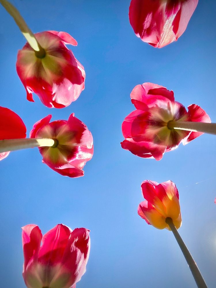 Photograph by Иованна Решетова