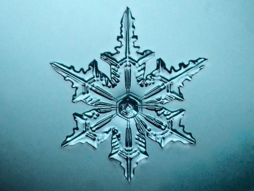 Photograph by Станислав Карташов