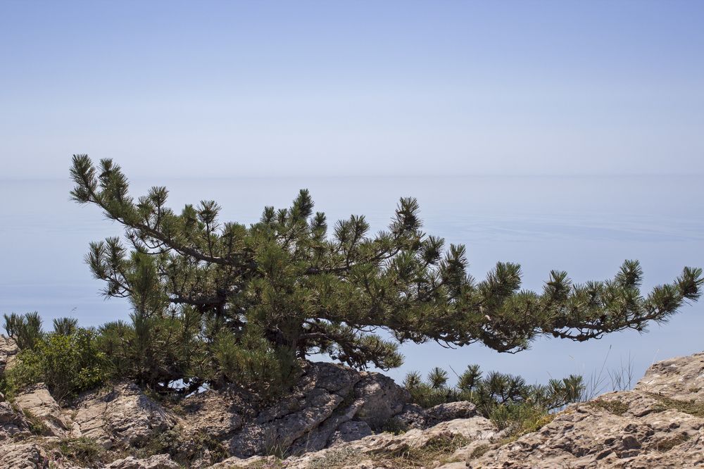 Photograph by Виталий Са