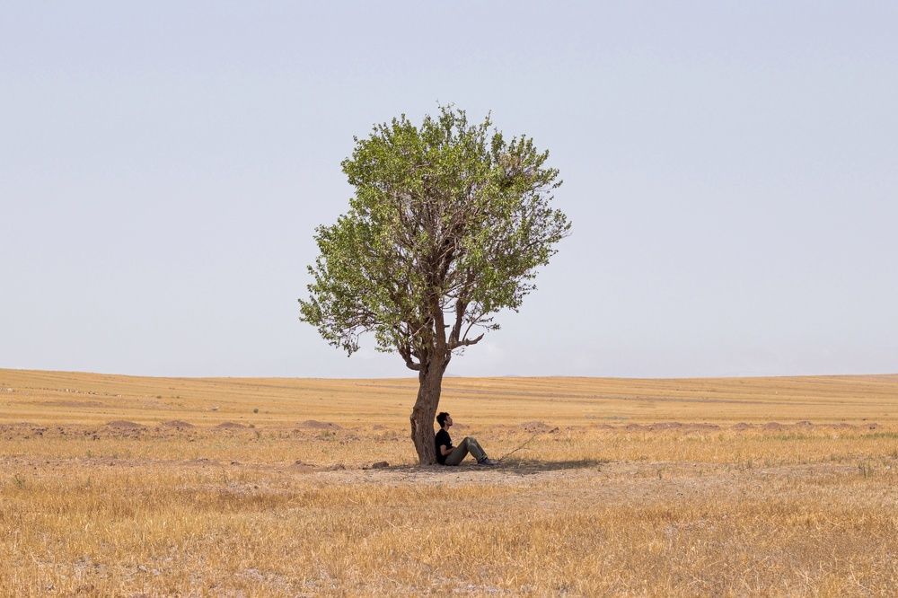 Photograph by Mohammad reza Falah