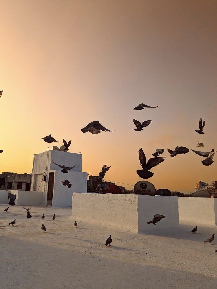 Photograph by Pandey Ji