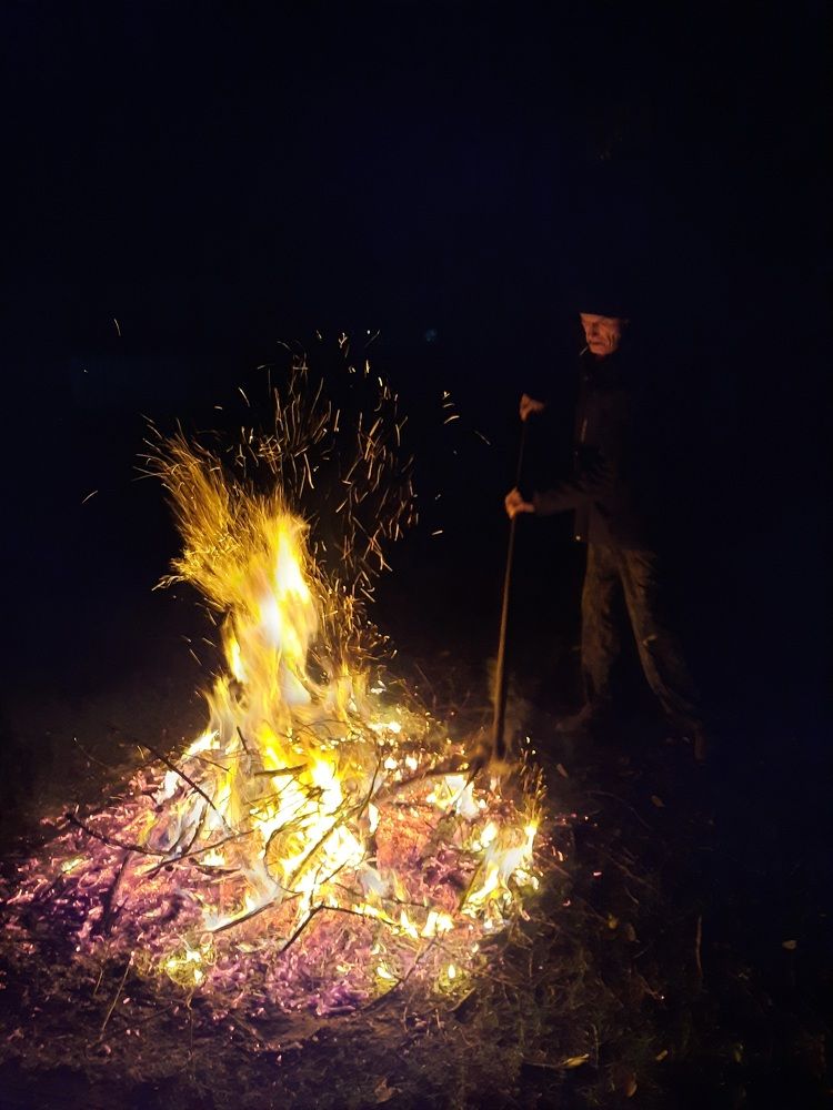 Photograph by OLGA MIKHNEVICH