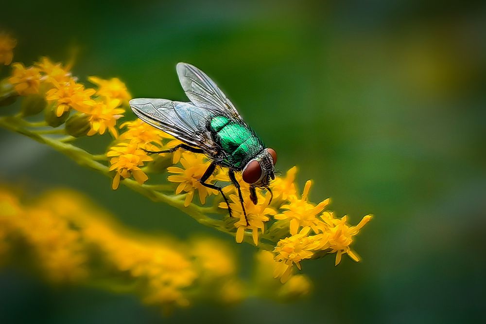 Photograph by Татьяна Бравая