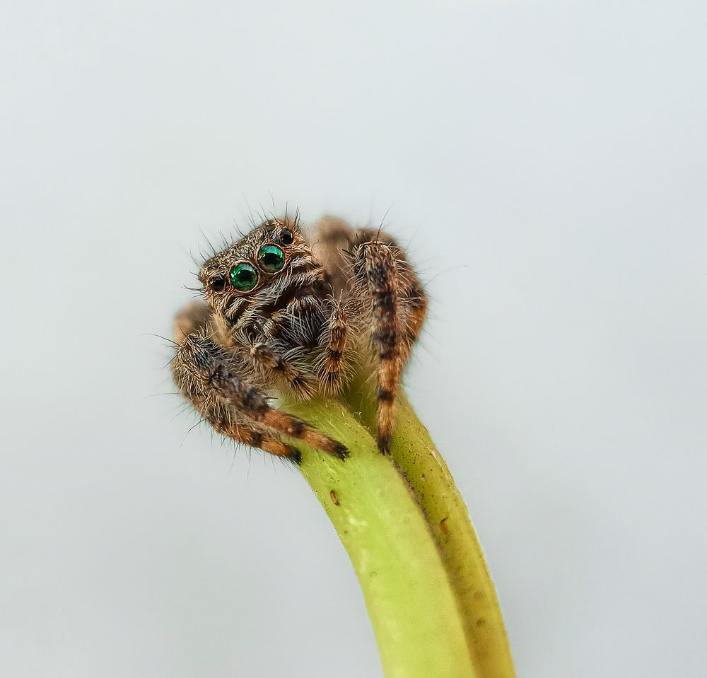 Photograph by Mohammad reza Falah