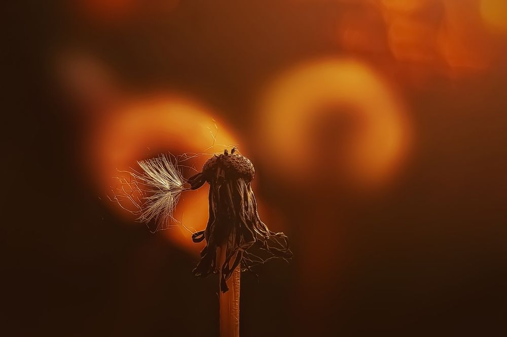 Photograph by Татьяна Бравая