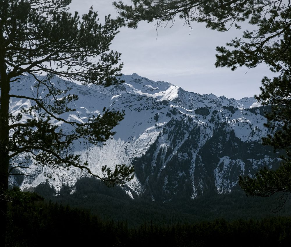 Photograph by Nicole Maria Oestreich