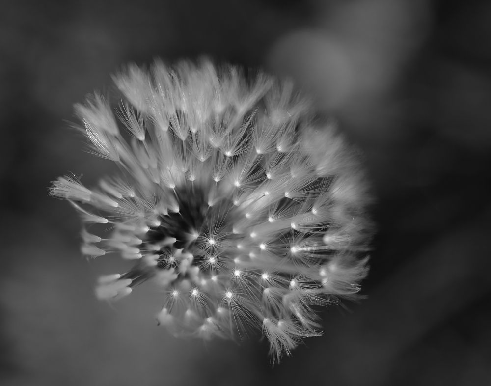 Photograph by Farid Ataei