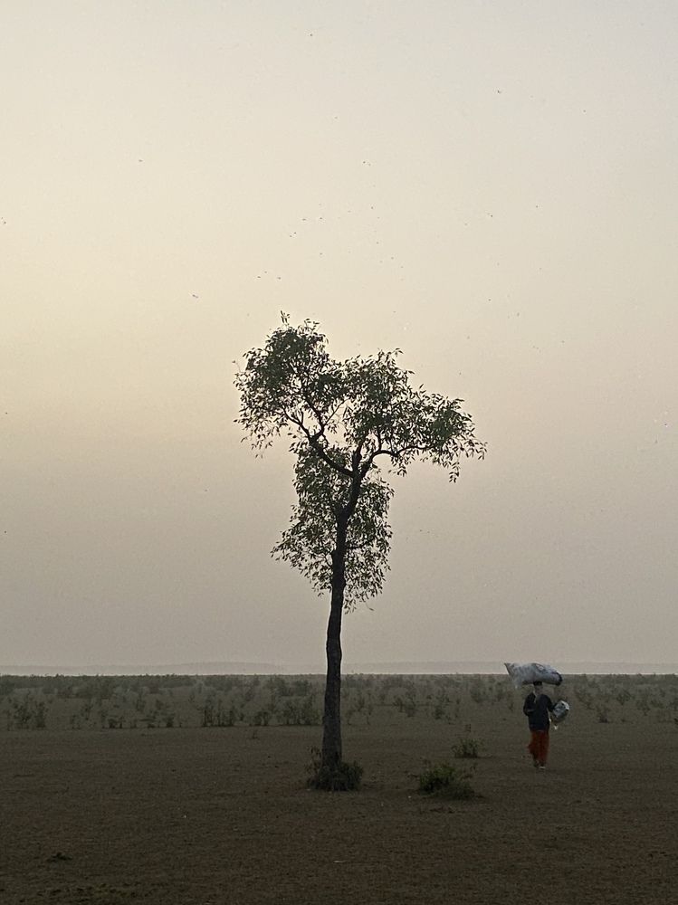 Photograph by Tahzid Ahsan