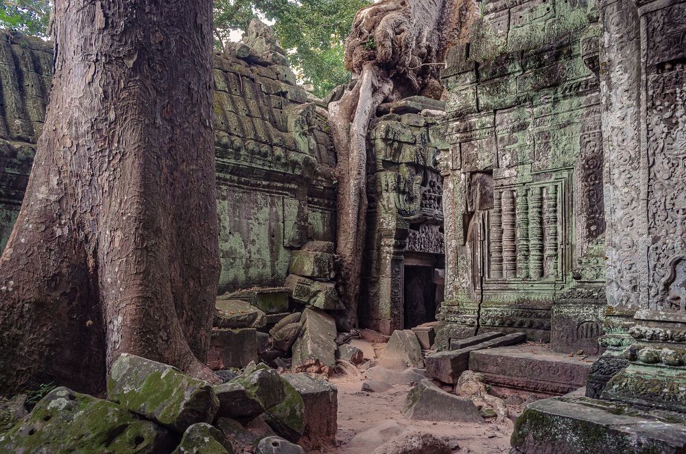 Photograph by Наталья Кокорина