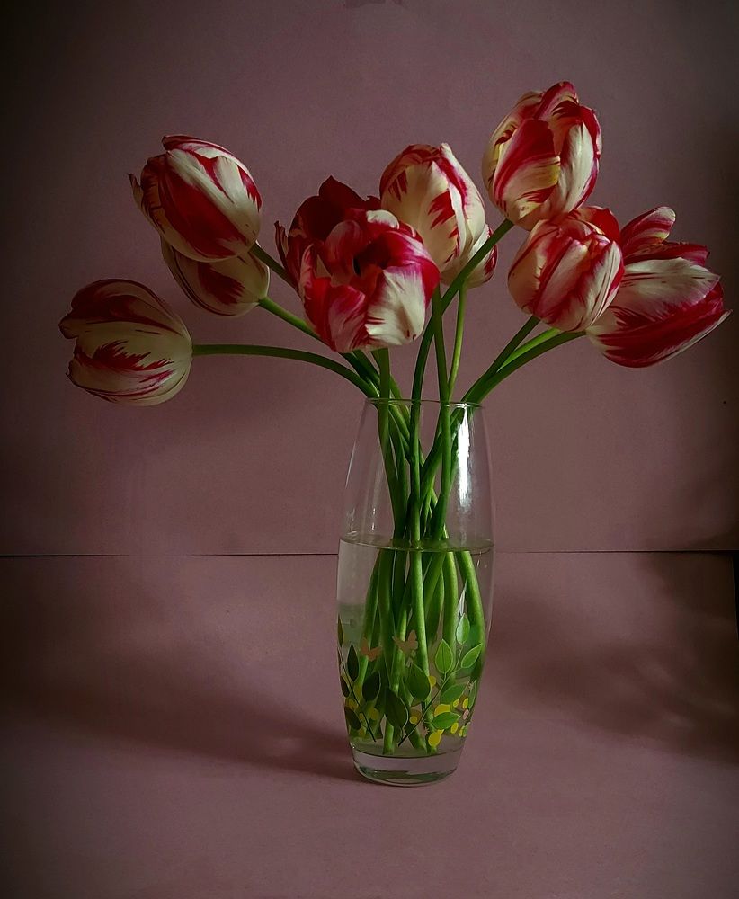 Photograph by Татьяна Гатиятуллина