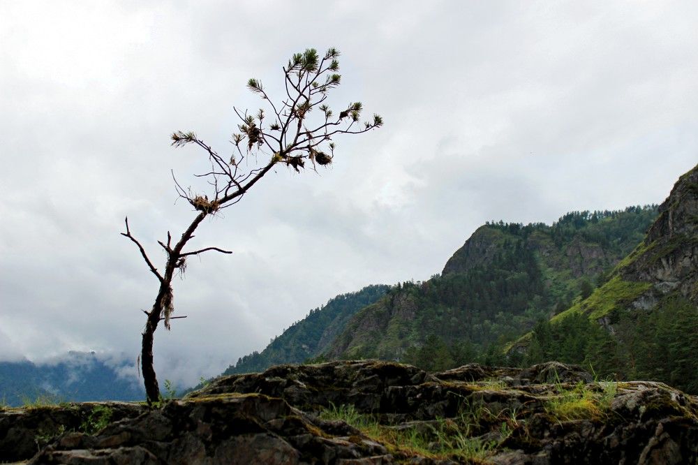 Photograph by Галина Мазур