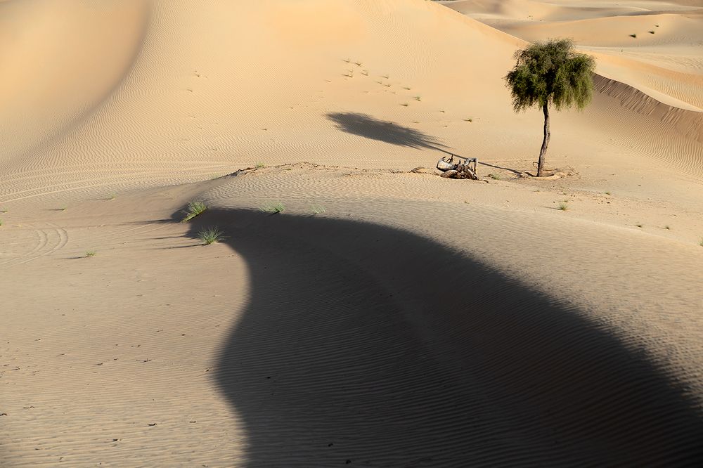 Photograph by Viktoryia Vinnikava