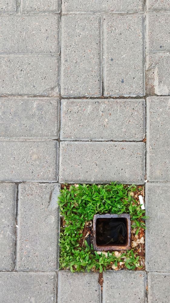 Photograph by Сергей Заподовников