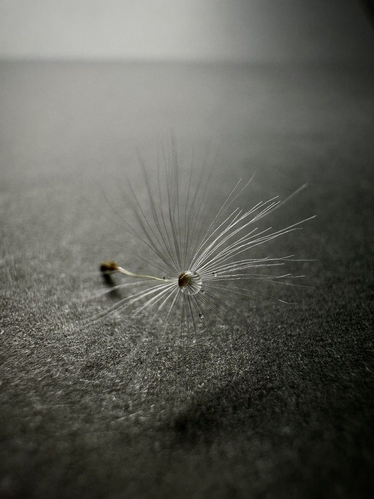 Фотография автора Евгения Елисеева