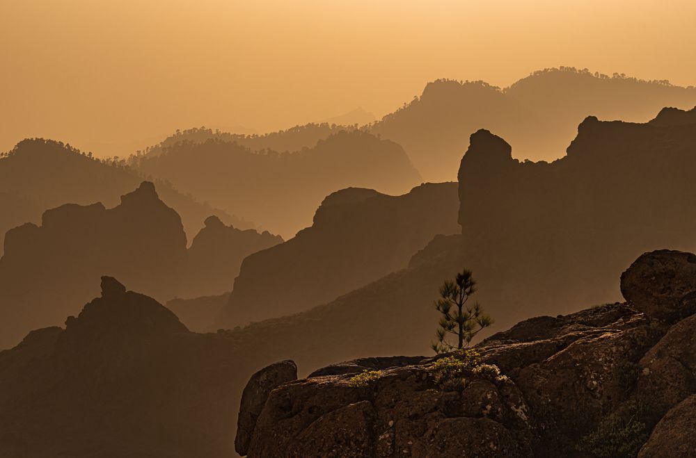 Photograph by Piotr Drezinski