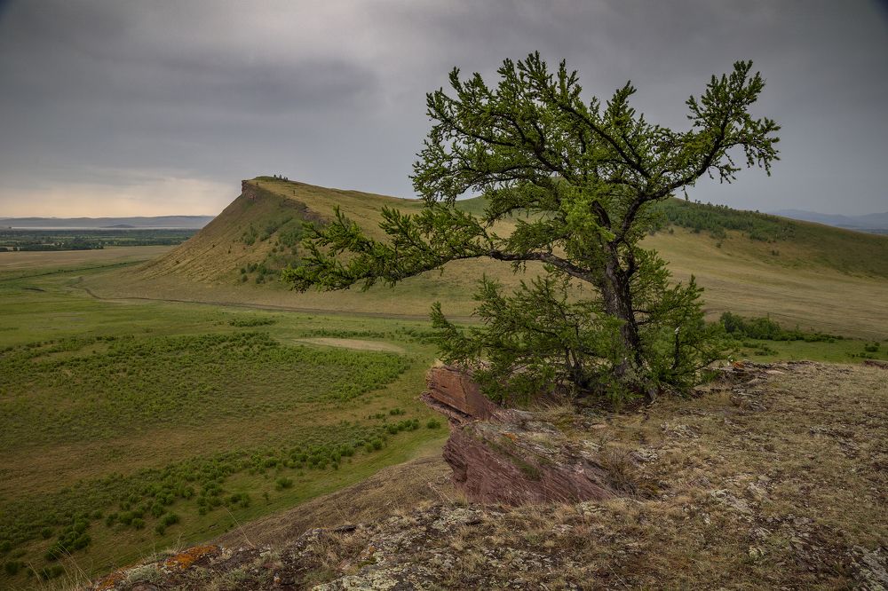 Photograph by Дмитрий Юдин