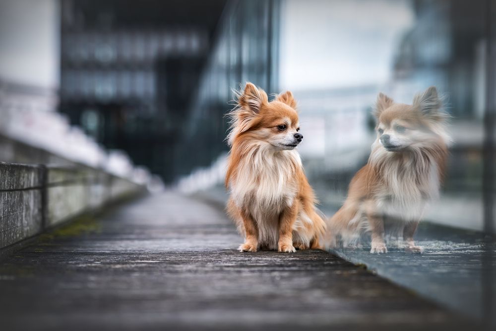 Фотография автора Jessica Winkelmann