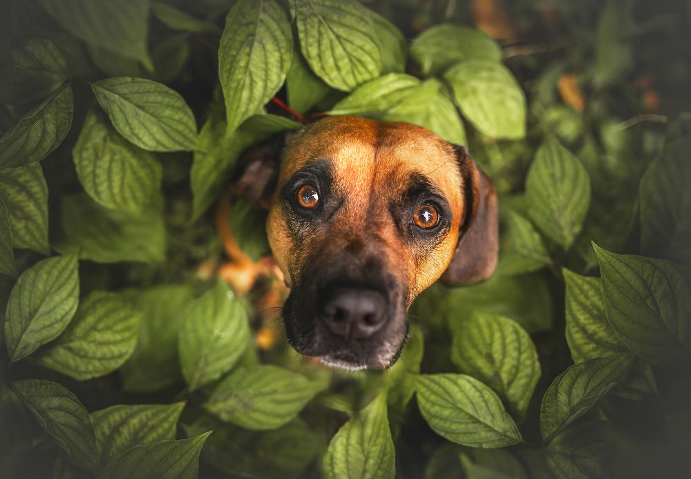 Фотография автора Jessica Winkelmann