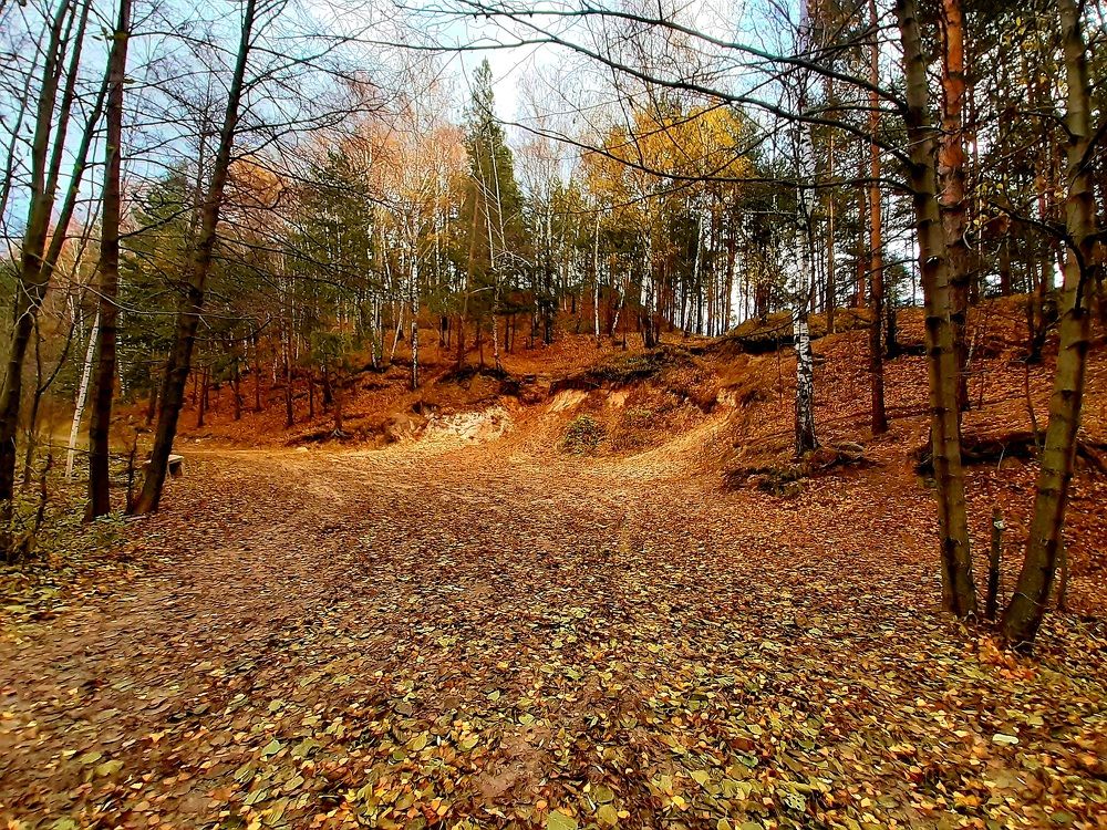 Photograph by Екатерина