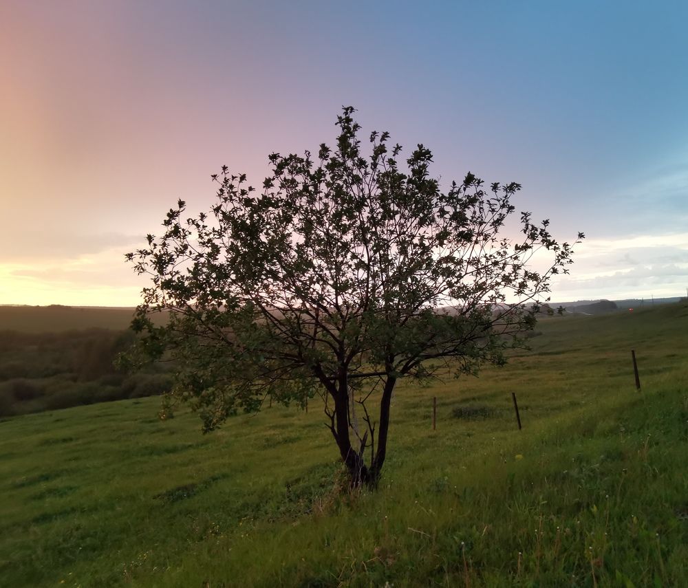 Photograph by Назлыгуль Малашова