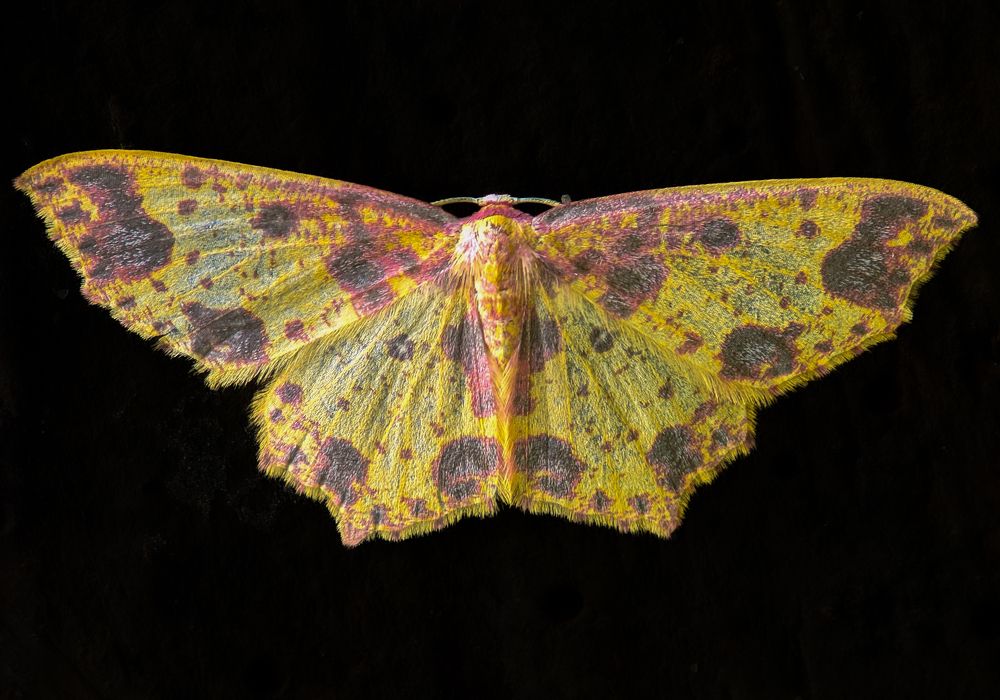 Photograph by Sumitava Chowdhury