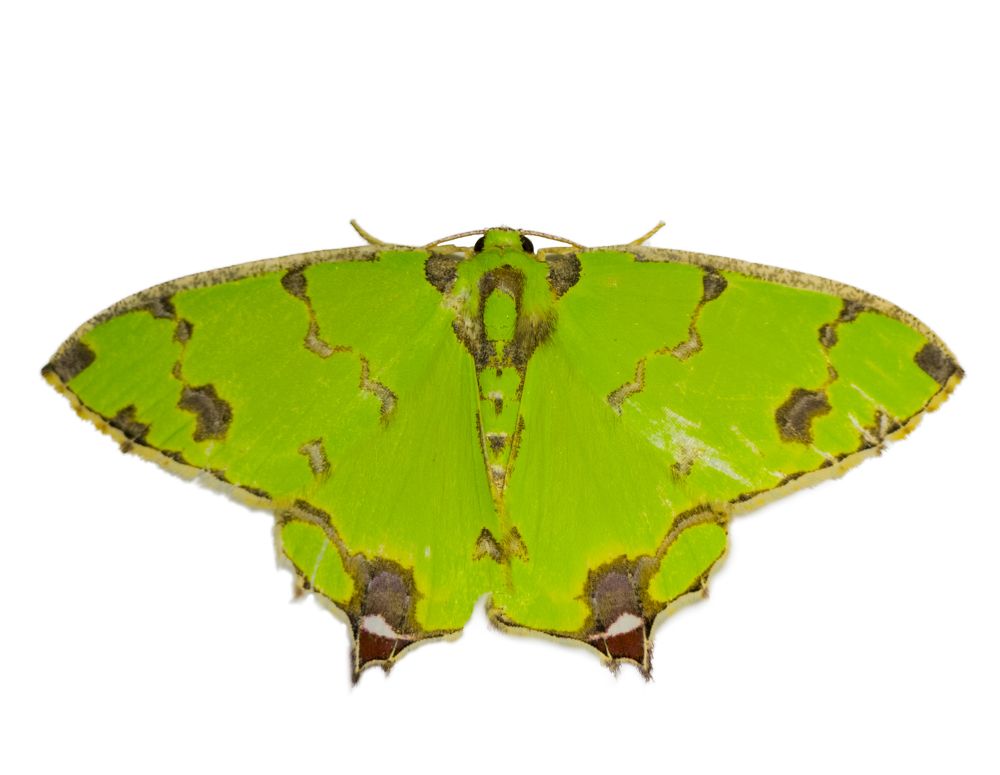 Photograph by Sumitava Chowdhury