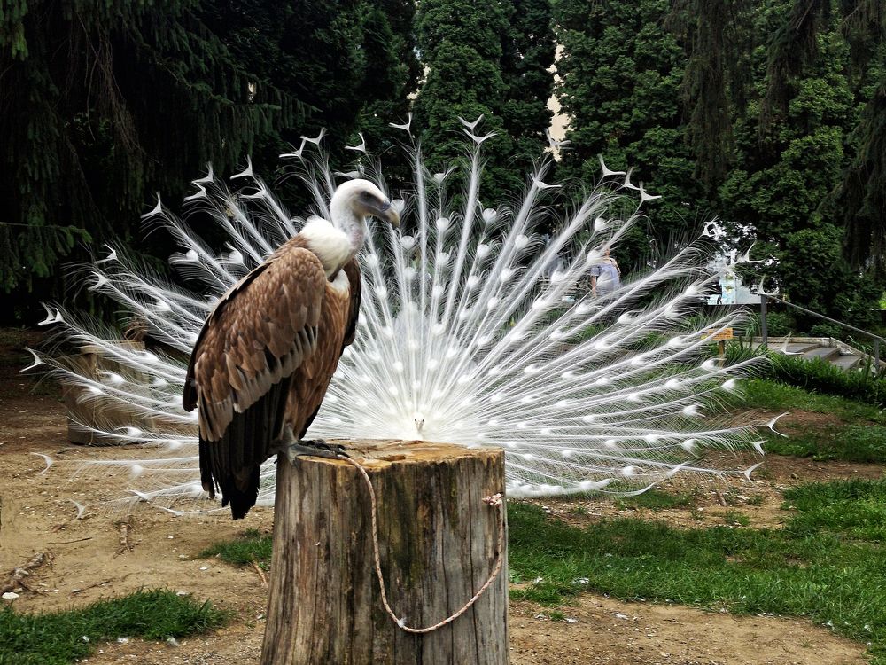 Photograph by Михаил Янкин